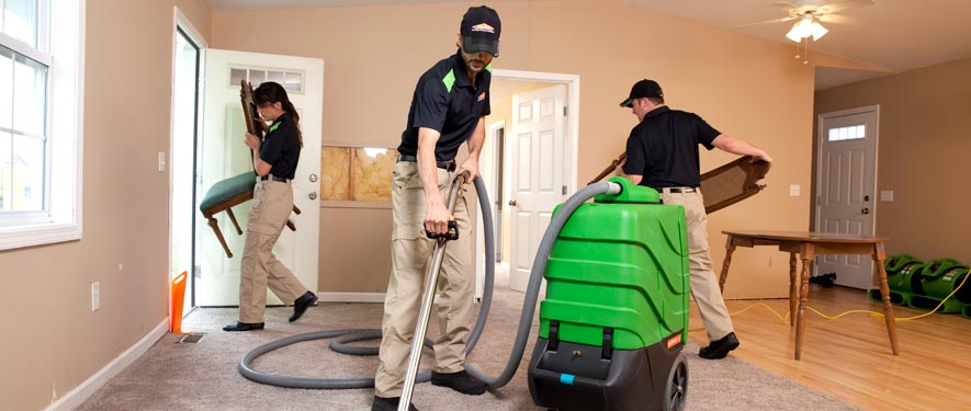 Houston , TX cleaning services