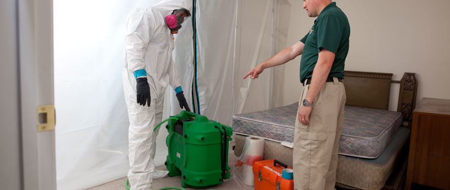 Houston , TX mold removal process